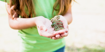PROJETO-BANCA-ITINERANTE-DE-EDUCAÇÃO-SOCIOAMBIENTAL